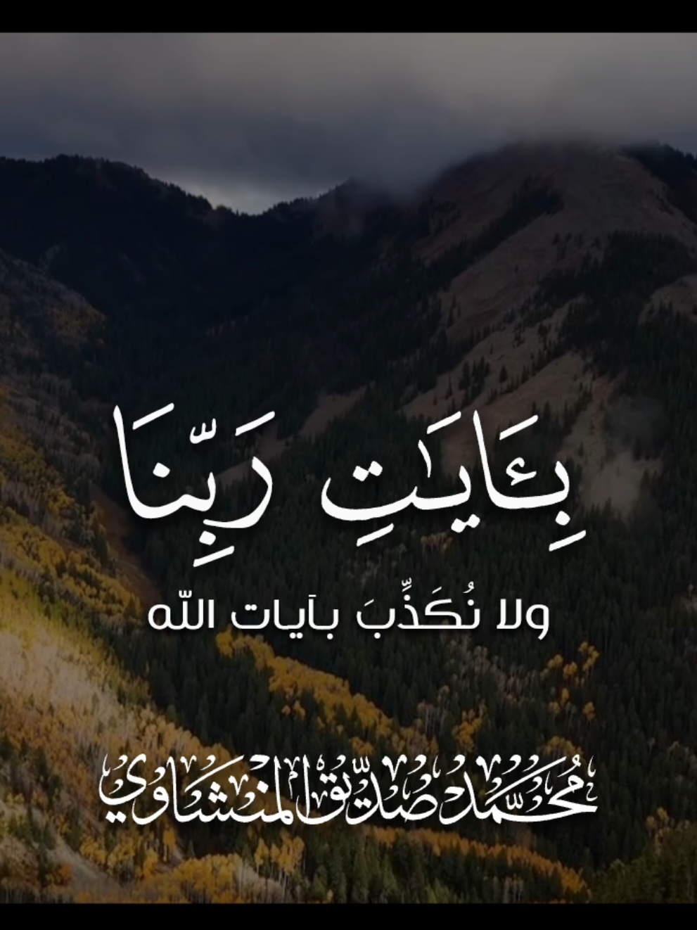 سورة الأنعام | الشيخ المنشاوي  . #المنشاوي #quran #المنشاوي_قرآن_كريم #mminshawi 
