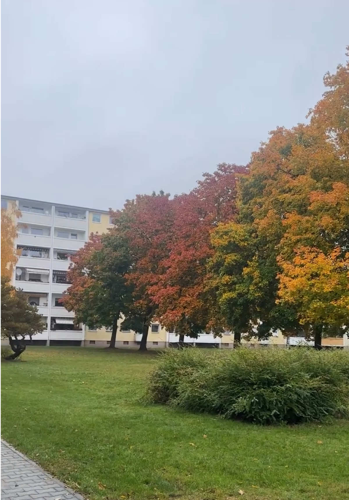 #اعادة_النشر🔃 #علي_الربيعي🇮🇶🇩🇪🇪🇺 #فرنسا🇨🇵_بلجيكا🇧🇪_المانيا🇩🇪_اسبانيا🇪🇸 #بلجيكا🇧🇪_بروكسيل_المانيا_فرنسا_هولندا #حلمك_سيتحقق_بإذن_الله 