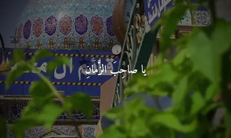 مَولانا يا صاحِبَ الزَّمانِ  #يامولانا_يا_صاحب_الزمان #ياصاحب_الزمان #ياصاحب_الزمان_ادركنا #يامهدي #الغوث_ياصاحب_الزمان #ليلة_الجمعة #اللهم_عجل_لوليك_الفرج #يافرج_الله #ادركني_ياصاحب_الزمان_🙏🥺💜 #علي_فاني #قائم_ال_محمد #الجمعة #اللهم_صل_على_محمد_وآل_محمد #النجف #كربلاء #القطيف_الشععب_اللطيف #القطيف #البحرين #العراق #الكويت #لبنان 