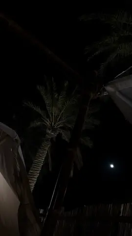 تخيرت قربه ليتني ماتخيرته🎶#foryou #explor #fyp 