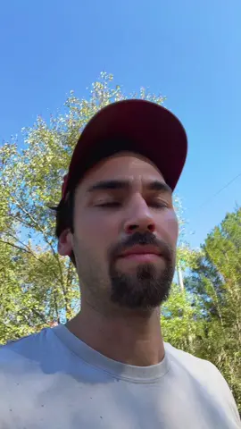 New bull calf on the farm today 🙏🏼