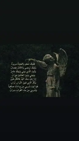 #foryou #هواجيس #fyppppppppppppppppppppppp #fyp #عبارات 