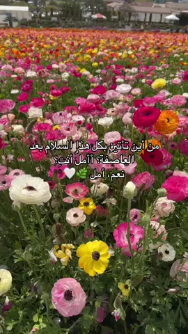 نعم أمل🤍 #اكسبلورexplore  #ترند_من_اين_تأتين 