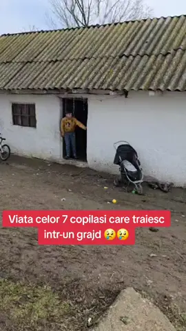 🙏Faptele bune n-au de ce să aștepte. Uneori 