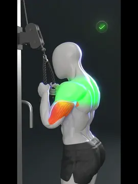 #creatorsearchinsights #GymTok #fyp #GymLife #capcut 