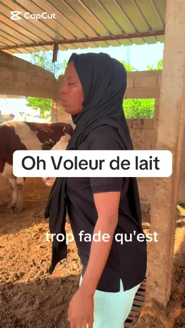Voleur de lait #foryou #tiktoksenegal #vachelatiere #eleveurs #agriculture 