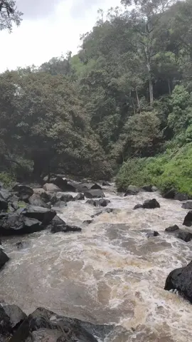 natural in Kenya#viral?tiktok🥰 #trending #kenyaingulf🥰🥰 #kenya🇰🇪tiktok #kenyainsaudiarabia🇰🇪🇸🇦👌💯 