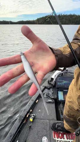 When they want a big minnow ➡️ give ‘em the big minnow! Available in 1/0 - 5/0 hook sizes, this the perfect time to pull out your 5/0 Smeltinator Jigs! 🙌🎣 #TeamNorthlandTackle