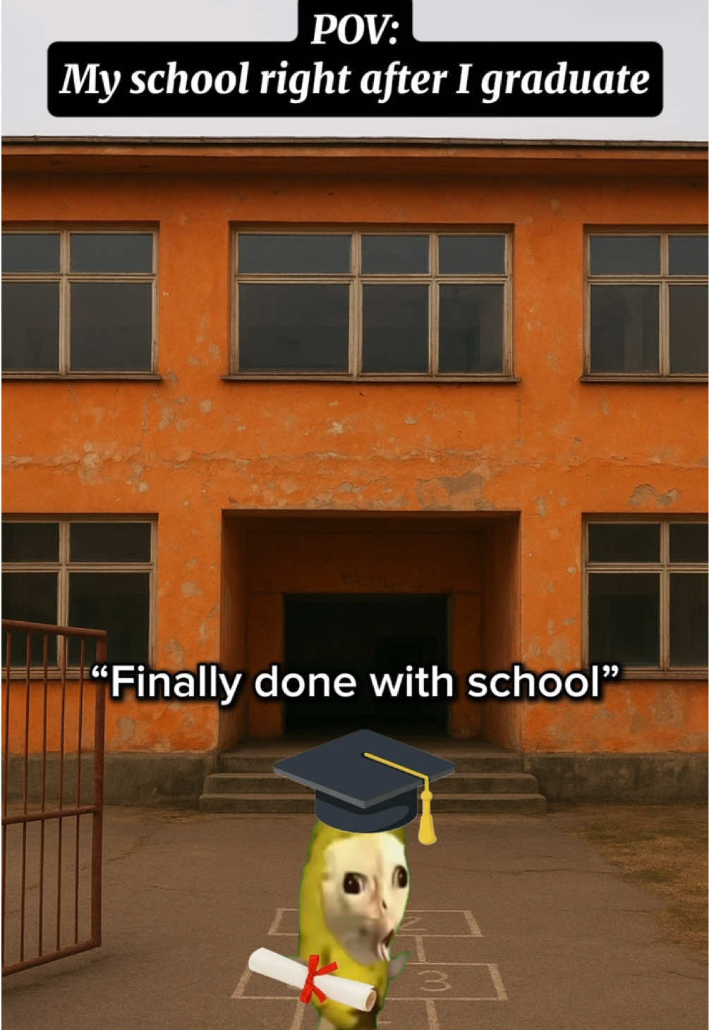 Scammed us #catmemes #foryou #relatable #cat #fyp 