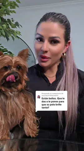 Respuesta a @user3629795636875 Este aceite es el que uso😍 #parati #perritos #foryou 