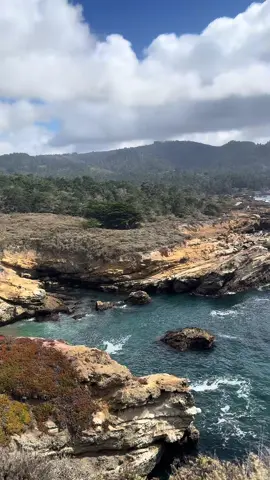 Had so much fun hiking point lobos & seeing all the wildlife, if you’re planning to go be sure to check out their free binoculars available!! 🥾🌊⛰️🦦💚  #pointlobos #californiahikes #carmelbythesea #fyp #traveltok 