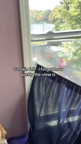 Dakota looks guilty cuz she was the one to knock the curtain down 