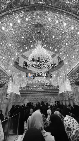 #ابا_الفضل_العباس #اكسبلورexplore #الشعب_الصيني_ماله_حل😂😂 #مشاهير_تيك_توك #كربلاء_مدينة_العشق_والعاشقين 