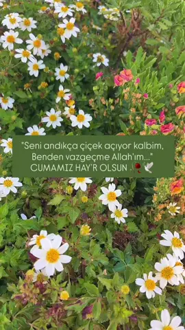 Cumamız Mübarek Olsun 🥀🕊️ #cumamızmübarekolsun #cumaduası#cumavideoları #keşfett