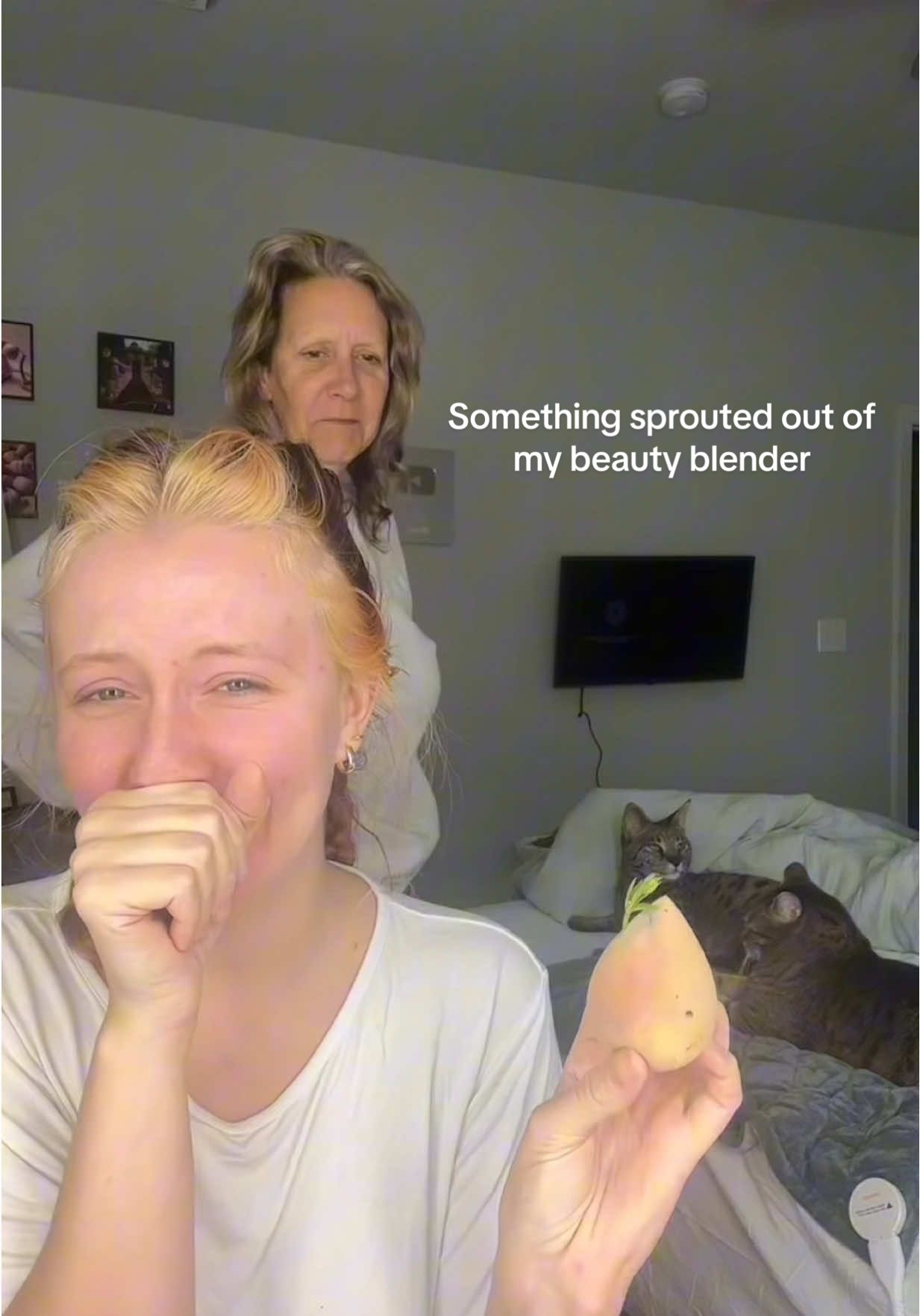 I woke up to this HORRIFYING DISCOVERY.  #creatorsearchinsights #beautyblender 