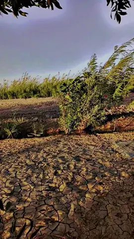 #tiktok #اكسبلور #foryoupage #جيل_الطيبين #foryoupage 