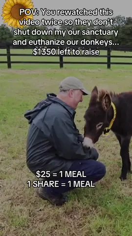 #donkeys #makeadifference #whorescuedwho #animalrescuer #EmClimaUltraLeve 