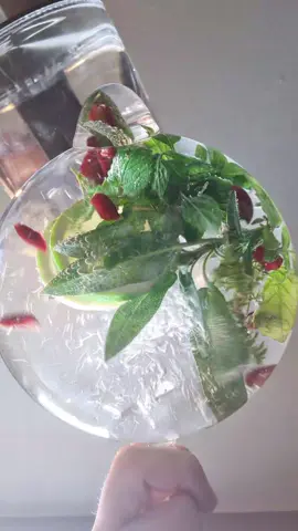 Mein Lieblingstee aus der Natur – perfekt für kalte Tage! 🌹 Hagebutte (halbiert & getrocknet) stärkt dein Immunsystem 🌿 Pfefferminze, Salbei, Melisse & Thymian – wohltuend für Atemwege und Verdauung 🍋 Zitrone bringt Frische & Vitamin C 👉 Tipp: Deckel auf die Teekanne – so bleiben die ätherischen Öle erhalten! 💚 Lust auf mehr Kräuterwissen? Dann komm zu meinen Kräutertee-Workshops und mische deine eigene Wohlfühl-Teezeit! 🫖 #kräutertee #herbaltea #naturalpower  #heilkräuter 