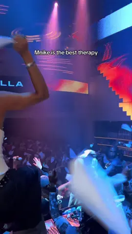 Bring back Mnike to the club 🇿🇦 @Tyler Icu @LE H @Harriet Bella ✨ @Solaariss @Zsongo club @dyvibezgram @Toya K Music  #amapiano #amapianodance #mnike #tylericu #amapianomusic 