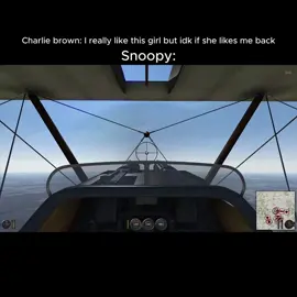 Somehow won this ✌️#riseofflightunited #flightsim #ww1 #charliebrown #snoopy 