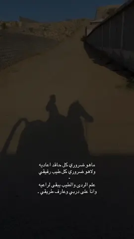 #خيل #الخيل_من_خيالها_🐎 #ماشاءالله_تبارك_الله🧿❤️ #اكسبلور #شعر 🖤🐎