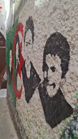 giud touristique casbah 0559779832#casbah #babelwade🇩🇿 #ispania🇪🇸 #marseille🇫🇷 