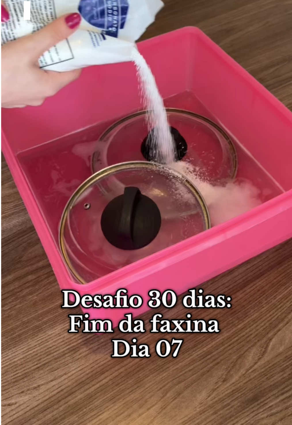 Pra quem quiser começar o desafio, ainda dá tempo, você consegue acessar todo o material clicando no link da minha Bio 💖🫶🏻 #dicadelimpeza #limpezadacasa #donadecasa #fyp 