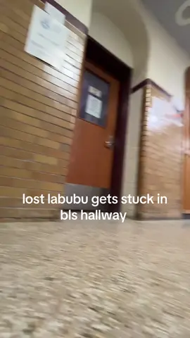 #labubulost #labubu #boston 