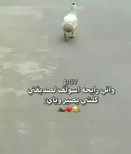 #مشاهير_تيك_توك #الشعب_الصيني_ماله_حل😂😂😂 