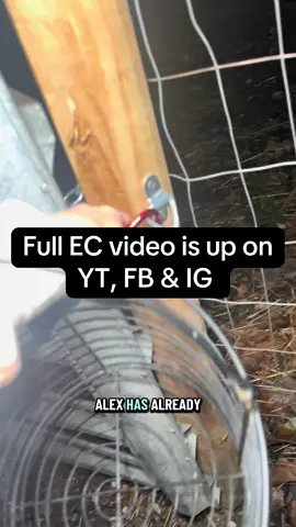 Beyond behind on getting this video edited and uploaded. This egg collecting was filmed Friday night(October 10th) The full video can be found on YT, IG. & FB. Same name “Laux Family Farm” on all platforms. Enjoy!  #chickens #ducks