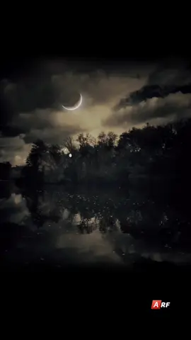 #تخطيت#محسن_ال_مطارد#بيت_الرعاوي 