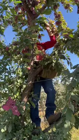 #paratiiiiiiiiiiiiiiiiiiiiiiiiiiiiiii 