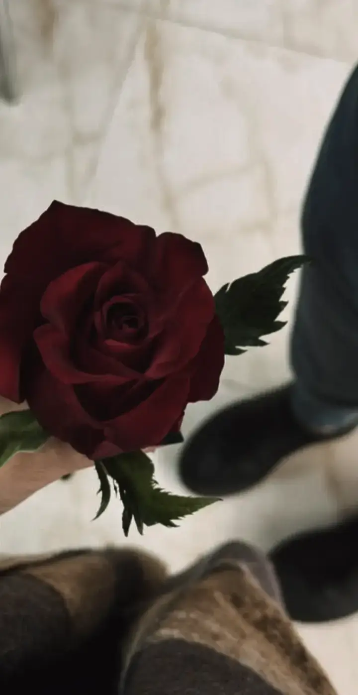 #محمد_عبد_الجبار #طيبة #fyp 