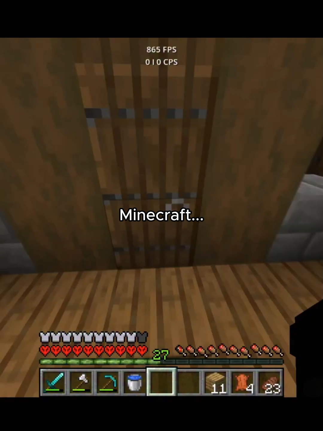 #Minecraft #fyp