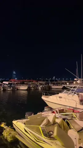 #لبيه #لبيه #اغاني #لبيه #❤️ 