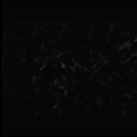 هل من معين يصيح الاحساس..  #مؤمل_هيثم #سيد_فاقد #foryou #fyp 