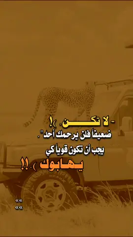 #عبود_الوحش #_جميلة_وقويه😉🖤ലംഘിക്കാത്തതിനാൽ #مصمم_فيديوهات_محترفة🎶🎤🎬📽 #عباراتي_من_القلب 