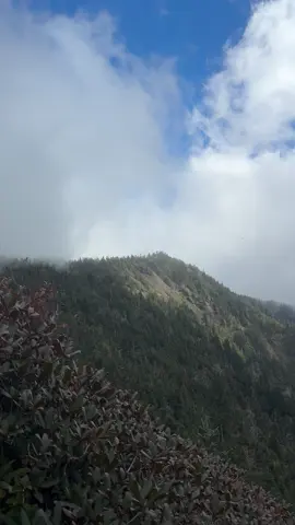 The great smokey mountains🥰💙 #makingmemories #bestfriendtrip😍❤️ #experiences #thegreatsmokeymountains 