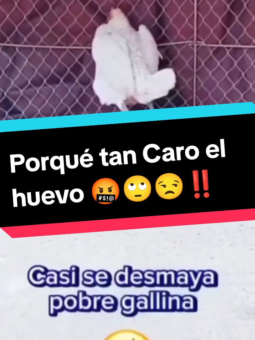 Porqué tan Caro el huevo 🤬🙄😒‼️ #parati #viral #rees #shorts #fyp 
