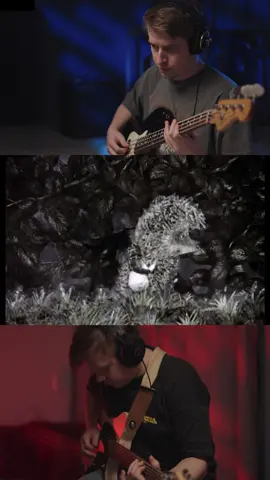 Шугейзовый еж 🦔 #shoegaze #midwestemo #mem #musictok 