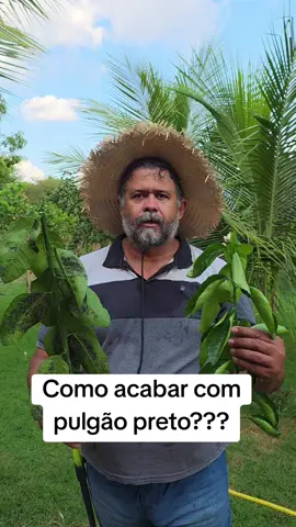 Essa calda vai limpar seus pés de cítrus e fazer ele produzir muito. Fazer aplicação no final da tarde. Vem comigo.  #agro #interior #campo #roça 