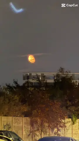 Beautiful recitation #deen #muslimtiktok #islam #quran 