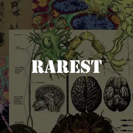 The INFJ — the rarest mind in the world. Quiet. Strategic. Empathic, yet detached. The kind of person who sees the truth long before others do — and carries the weight of it in silence. #INFJ #MBTI #Mindhunter #DarkPsychology #HumanBehavior