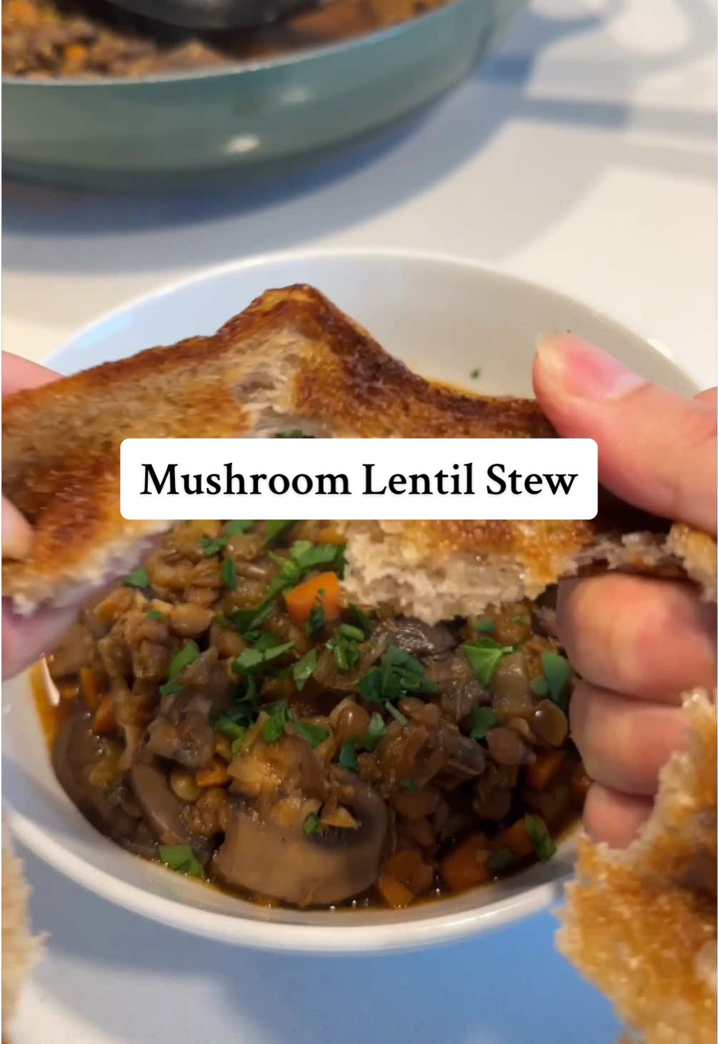 Mushroom Lentil Stew! Recipe on substack as always 🤎🍄‍🟫 #mushrooms #lentils #stew #fallrecipes 