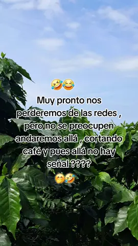 #viraltiktok jajajaj 😅😅### @ARELITA TOMAS  jaj nna su  Vídeo..####😅😅😅 