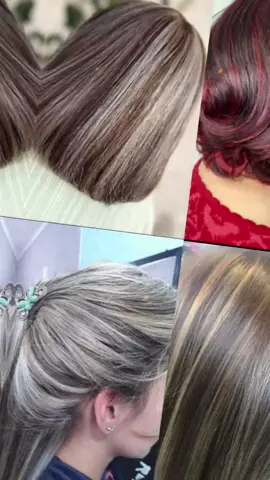 #صالون #الانوار #الرئاسة #الرئاسة 