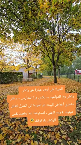 #ايفانا_لينا_أتينا #أوربا #حياة #ملل #اكتئاب 