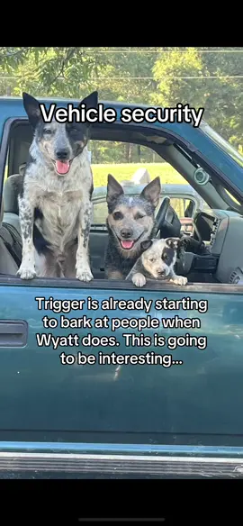 #josie #wyatt #Trigger #freedomoutlaws #josiesatanspawn 