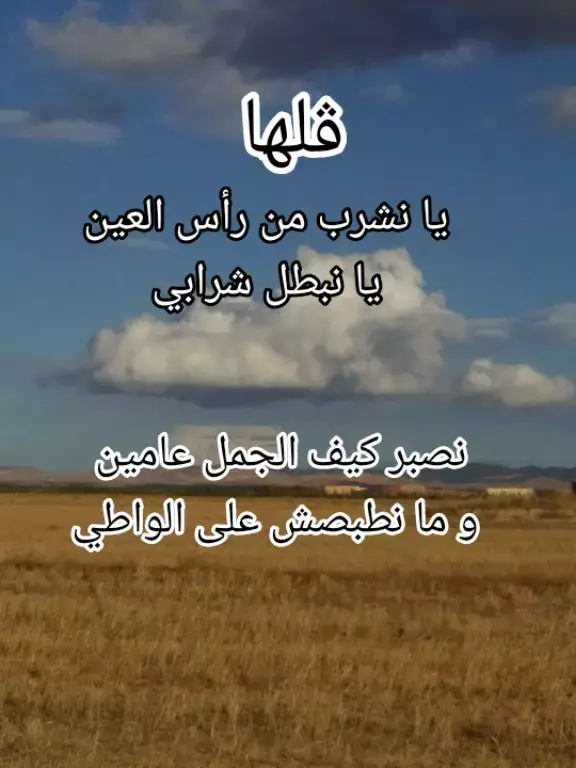 #القصرين_الأرض_الحرشة_تونس🇹🇳_الجزائر🇩🇿 #الڨصرين_الارض_الحرشة #الجزائر #fyp #foryoupage #funny #ترند #اكسبلور #متابعة#متابعة_قلب_تعليق_مشاركة_اكسبلورررر #متابعة