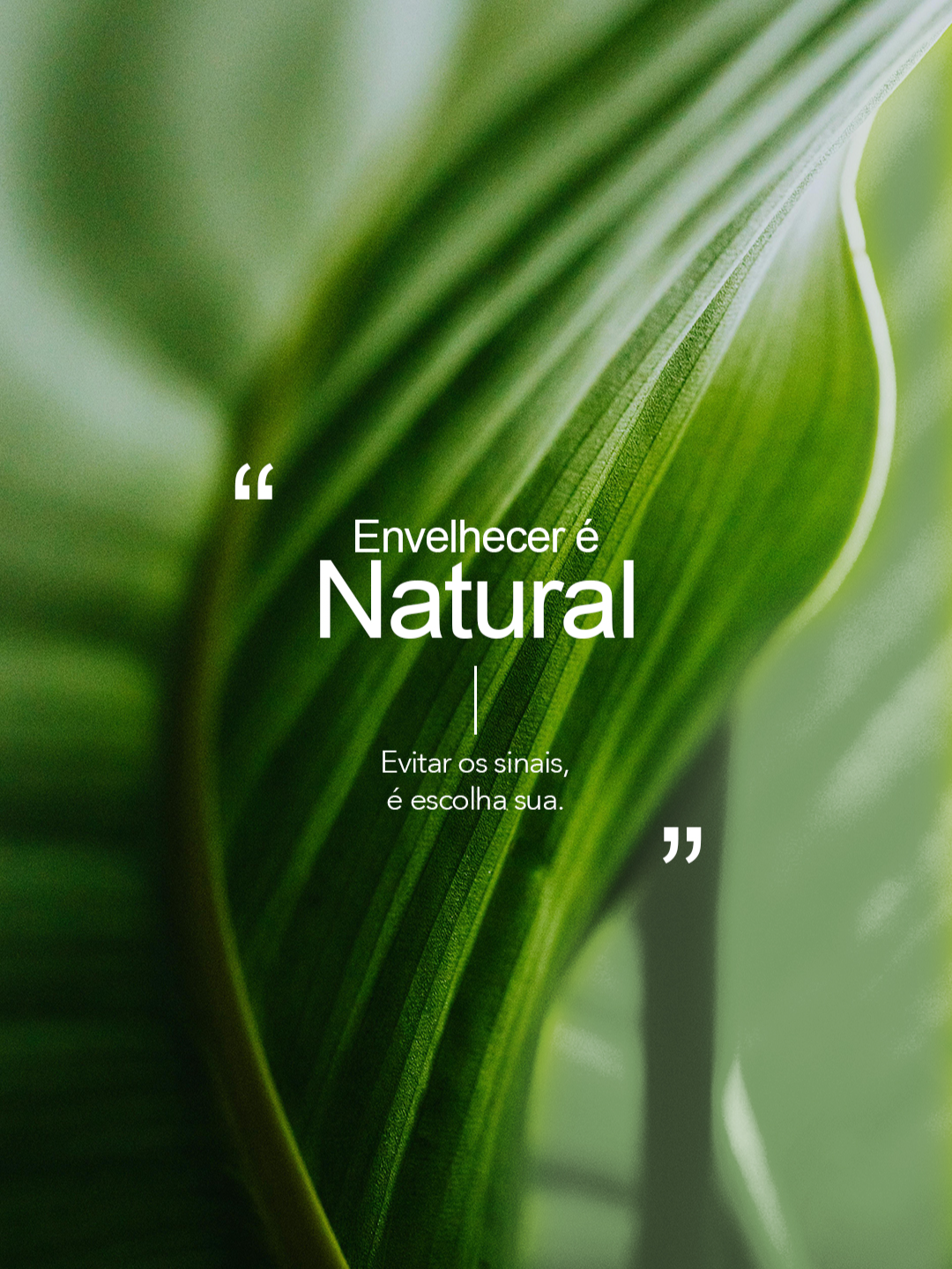 Cada pessoa envelhece de um jeito único, e cada pele tem suas próprias necessidades. É por isso que o HarmonyCA é a escolha certa para você.​ ​ Ele estimula intensamente a produção de colágeno e promove um efeito lifting imediato, revelando um rosto mais jovem, firme e com aspecto totalmente natural. 💚​ ​ ​ ​ #estetica #botoclinic #blover #envelhecimento